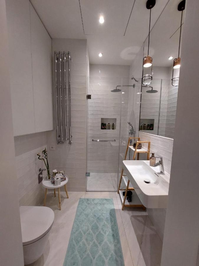 Luxury Apartment In The Centre 布拉格 外观 照片
